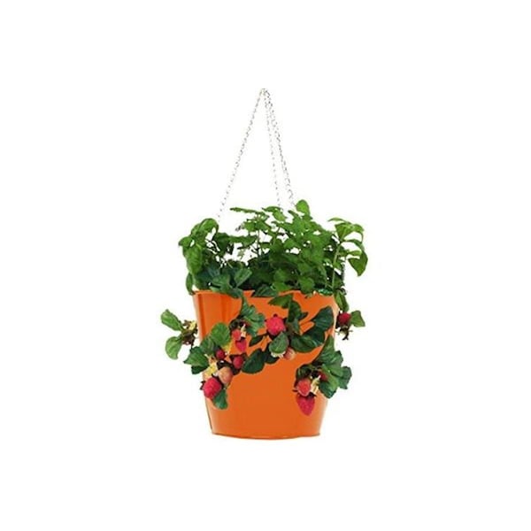 Superherostuff Enameled Galvanized Steel Strawberry Herb & Floral Hanging Planter Tangerine PA2433288 - main